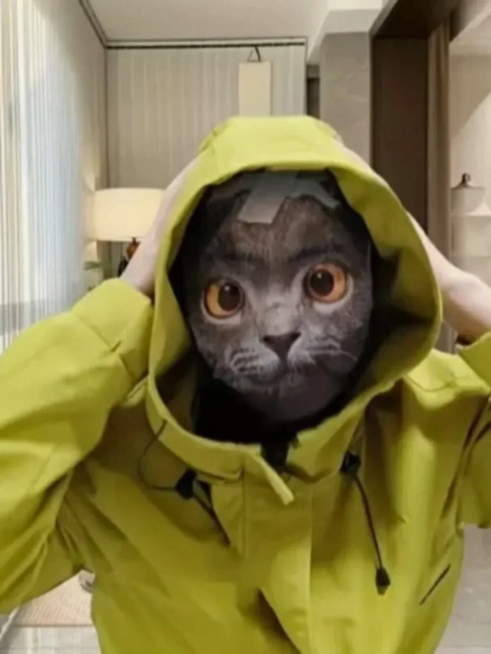 Halloween Cat Mask Breathable Mesh Costume Cosplay Party Accessory